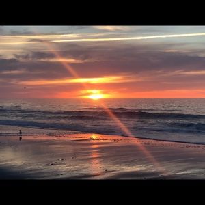 Meet your Posher, Carolyn